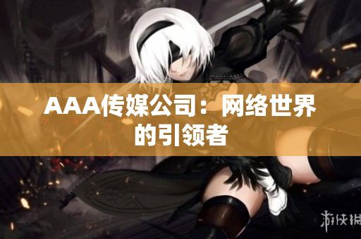 AAA传媒公司：网络世界的引领者