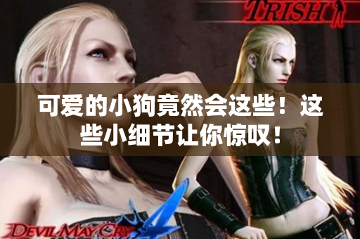 可爱的小狗竟然会这些！这些小细节让你惊叹！