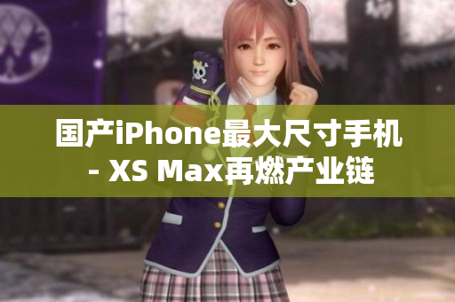 国产iPhone最大尺寸手机 - XS Max再燃产业链