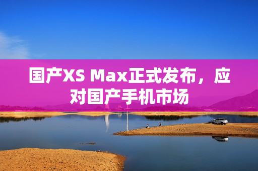 国产XS Max正式发布，应对国产手机市场