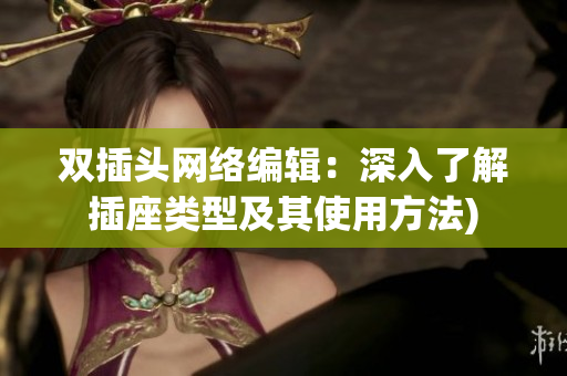 双插头网络编辑：深入了解插座类型及其使用方法)