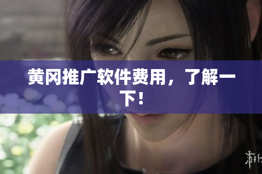 黄冈推广软件费用，了解一下！