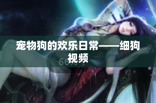 宠物狗的欢乐日常——细狗视频