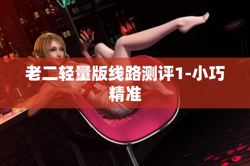 老二轻量版线路测评1-小巧精准