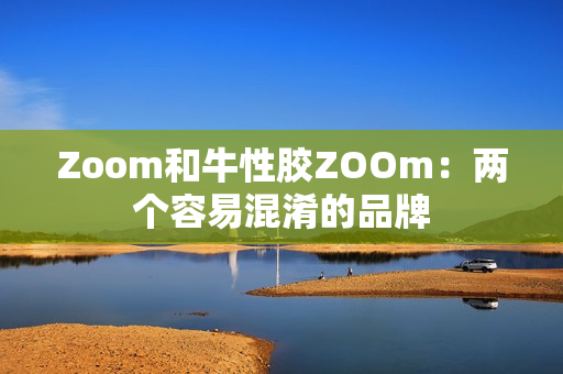 Zoom和牛性胶ZOOm：两个容易混淆的品牌