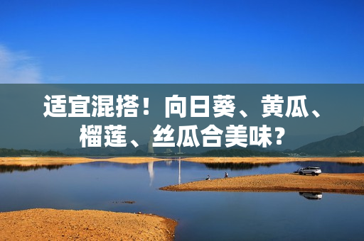 适宜混搭！向日葵、黄瓜、榴莲、丝瓜合美味？