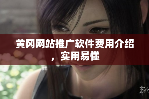 黄冈网站推广软件费用介绍，实用易懂