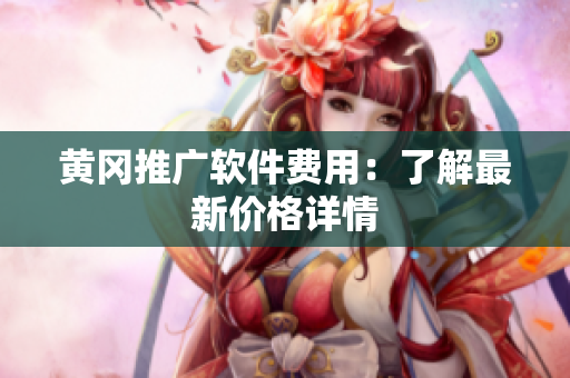 黄冈推广软件费用：了解最新价格详情