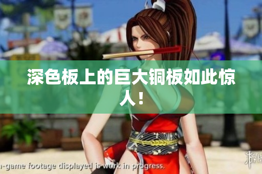 深色板上的巨大铜板如此惊人！