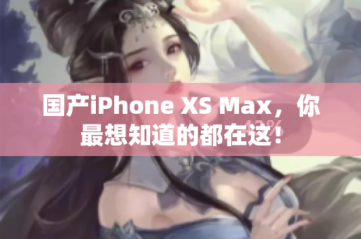 国产iPhone XS Max，你最想知道的都在这！