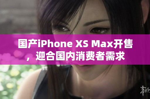 国产iPhone XS Max开售，迎合国内消费者需求