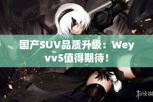 国产SUV品质升级：Weyvv5值得期待！
