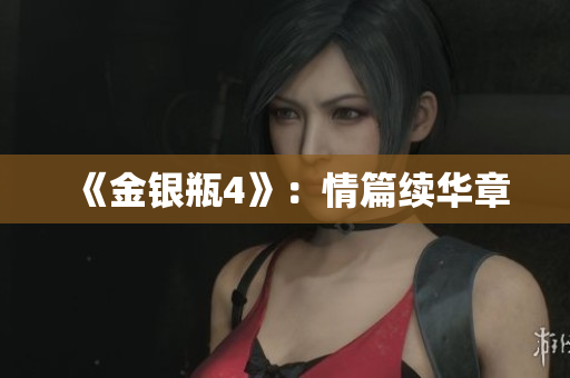《金银瓶4》：情篇续华章