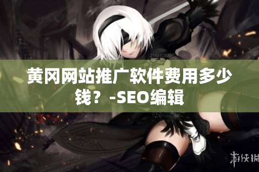黄冈网站推广软件费用多少钱？-SEO编辑