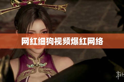 网红细狗视频爆红网络