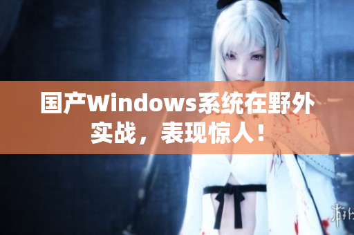 国产Windows系统在野外实战，表现惊人！