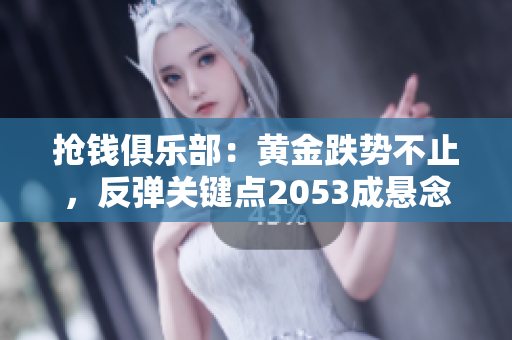 抢钱俱乐部：黄金跌势不止，反弹关键点2053成悬念