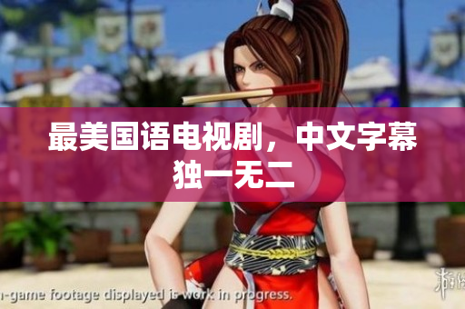 最美国语电视剧，中文字幕独一无二