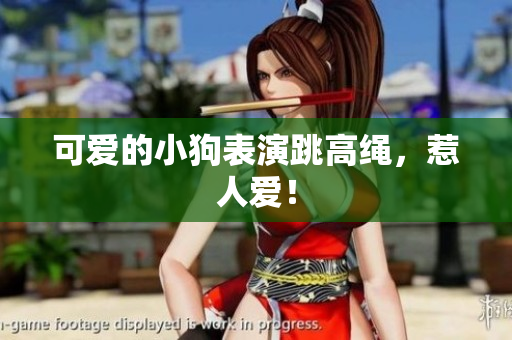 可爱的小狗表演跳高绳，惹人爱！