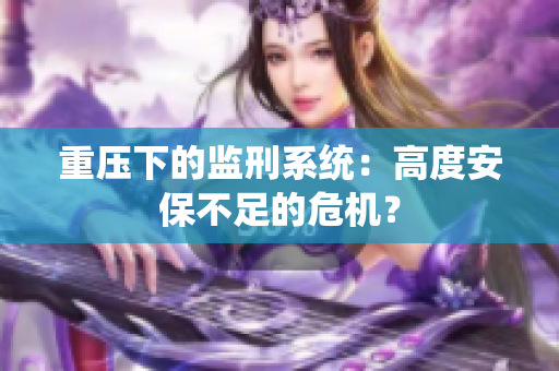 重压下的监刑系统：高度安保不足的危机？