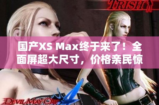 国产XS Max终于来了！全面屏超大尺寸，价格亲民惊喜