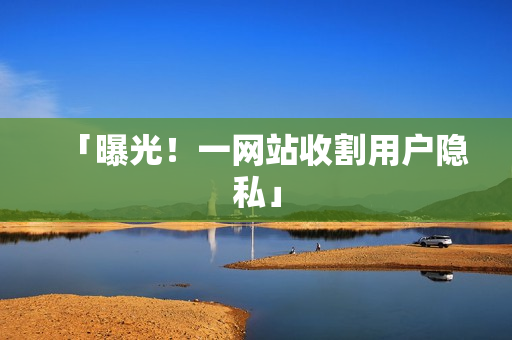 「曝光！一网站收割用户隐私」