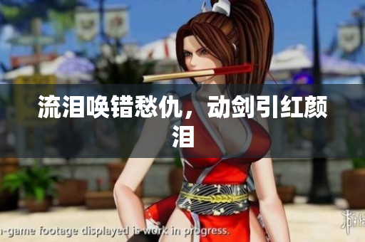 流泪唤错愁仇，动剑引红颜泪