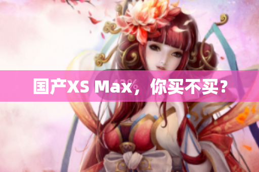国产XS Max，你买不买？