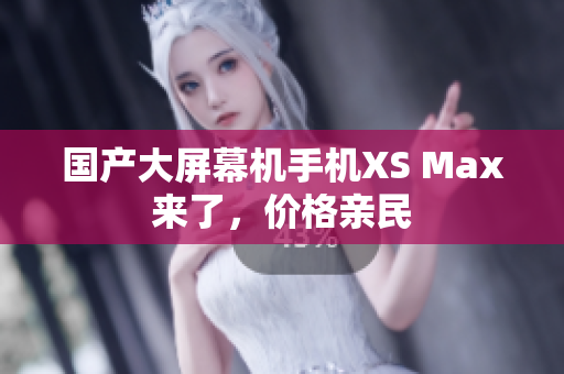 国产大屏幕机手机XS Max来了，价格亲民