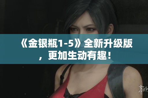 《金银瓶1-5》全新升级版，更加生动有趣！